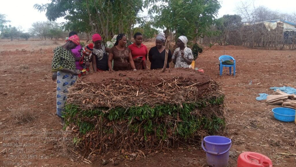 team-makueni-compost-making (5)