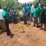 Training farmers on use of manure to plant fruits
